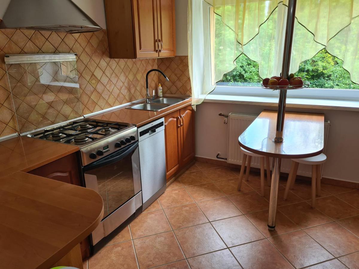 Apartament Pod Wieżą Sky Walk Świeradów-Zdrój